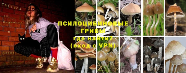 не бодяженный Елабуга