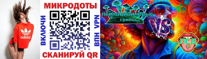 Псилоцибиновые грибы Psilocybine cubensis  сайты даркнета какой сайт  Анива 